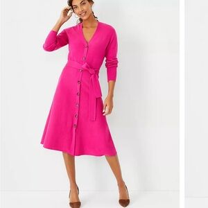 Ann Taylor belted flare front button-down sweater dress